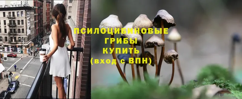 Галлюциногенные грибы Cubensis  дарнет шоп  Чусовой 